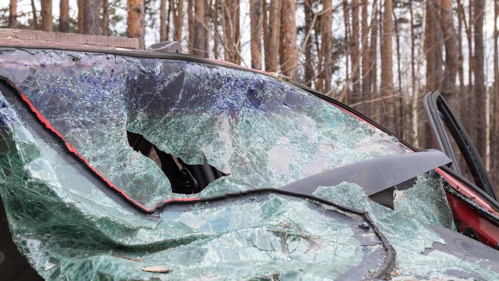 Windshield shattered due to a car accident.